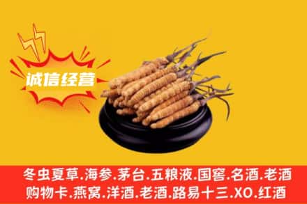 张家界市桑植回收冬虫夏草